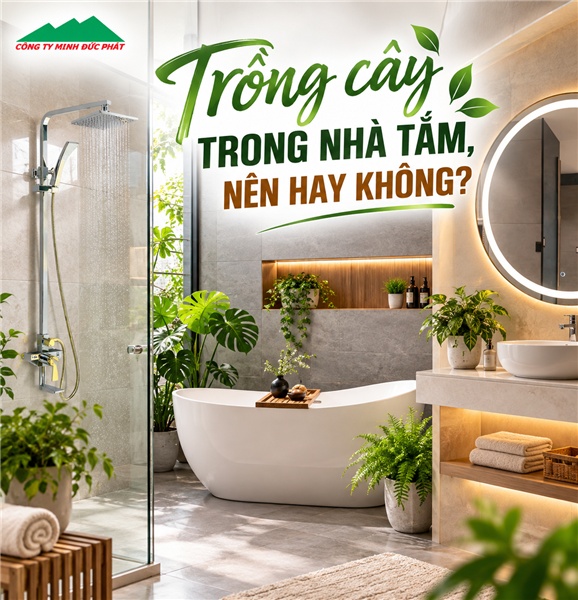 Trồng cây trong nhà tắm, nên hay không?