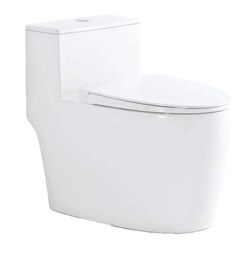 BỒN CẦU LIỀN KHỐI-LK-107