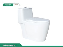 Bàn cầu liền khối EHR-B696