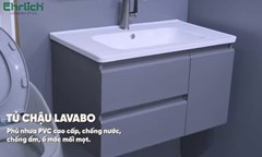  Tủ chậu cao cấp TLG800-S825 600mm