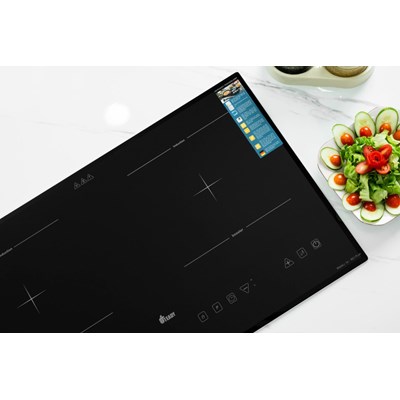 Bếp Từ Cao Cấp Teady TD-901Plus