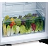 Tủ Lạnh 2 Cánh Ngăn Đông Trên Big 2 450L R-FG560PGV8X