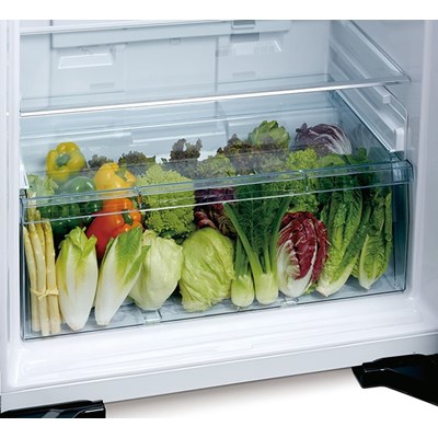 Tủ Lạnh 2 Cánh Ngăn Đông Trên Big 2 450L R-FG560PGV8X