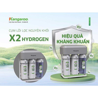 Máy lọc nước Kangaroo Hydrogen KGHP10K3