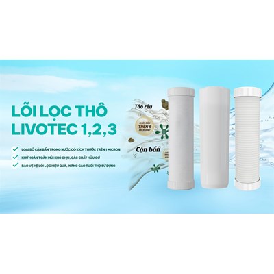 Máy lọc nước Karofi Livotec 218