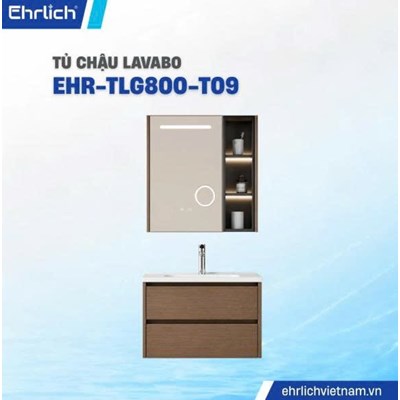 Tủ chậu cao cấp TLG800-T09