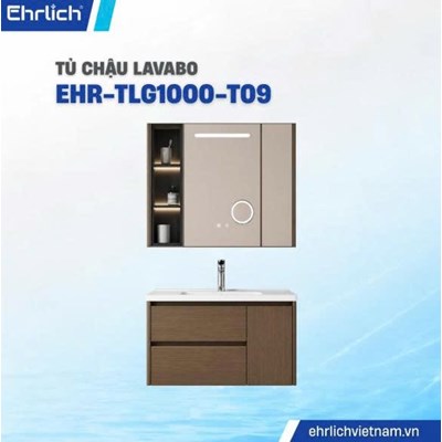 Tủ chậu cao cấp TLG1000-T09