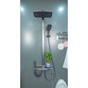 SEN CÂY NÓNG LẠNH CAO CẤP ĐỒNG MẠ PVD MÀU XÁM SC-1881