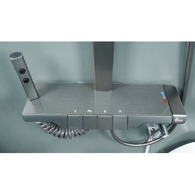 SEN CÂY NÓNG LẠNH CAO CẤP ĐỒNG MẠ PVD MÀU XÁM SC-1881