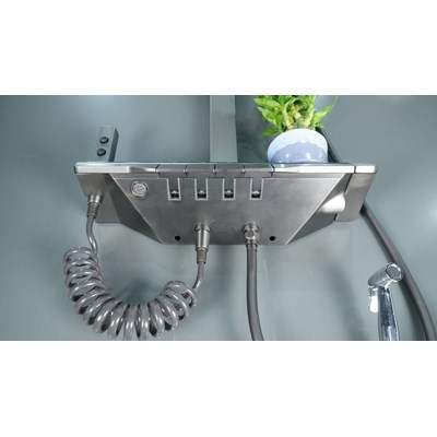 SEN CÂY NÓNG LẠNH CAO CẤP ĐỒNG MẠ PVD MÀU XÁM SC-1881