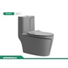 Bồn cầu liền khối xám chỉ vàng EHR-B913