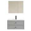 Tủ chậu cao cấp TLG600-S290