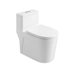 Bồn cầu liền khối EHR-B699